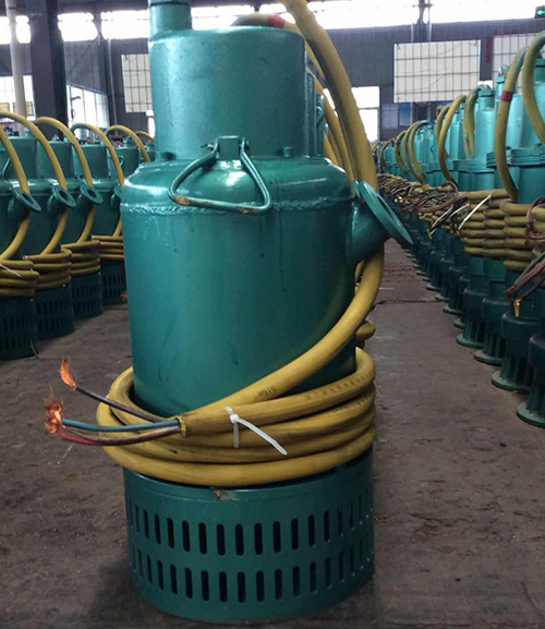 防爆(bào)排污泵(bèng)圖片